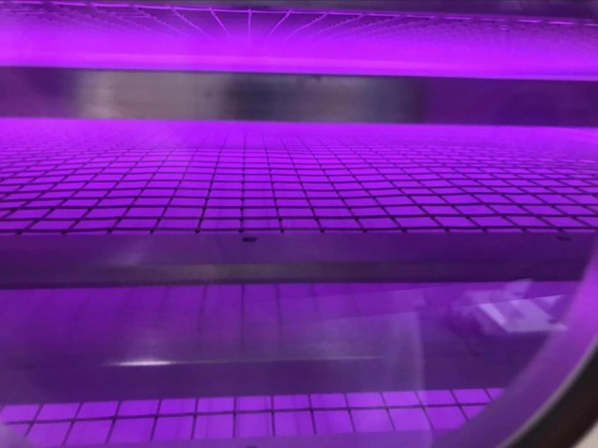 黄瓜视频污在线观看機