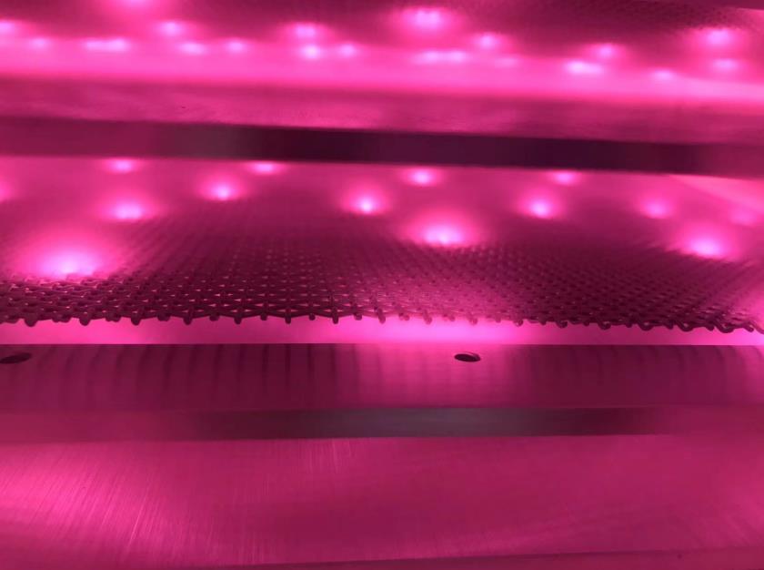 晶圓黄瓜视频污在线观看機