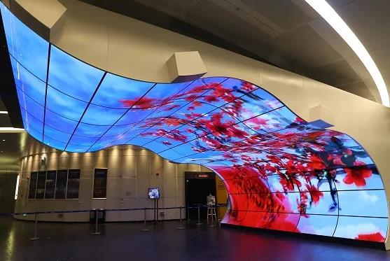 黄瓜视频污在线观看機