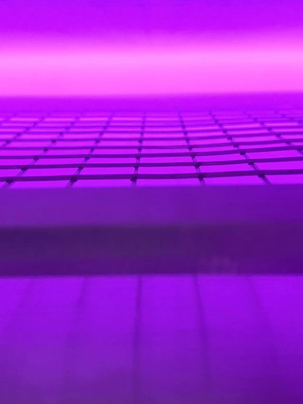 真空黄瓜视频污在线观看機