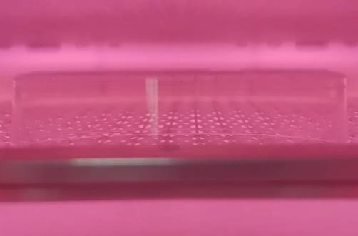 真空黄瓜视频污在线观看機