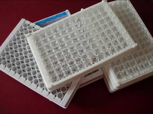 醫學免疫測試用的測試板和測試管