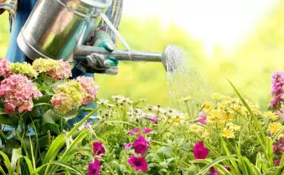 恩師所至，師恩所存-黄瓜视频下载APP视频等離子