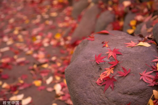 今日立冬，又一重要節氣-黄瓜视频下载APP视频黄瓜视频污在线观看機