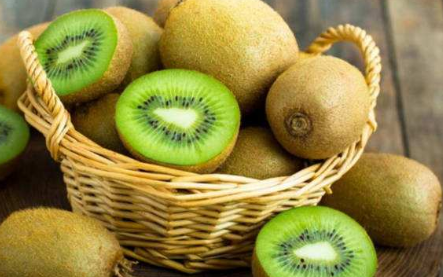 今日又逢立秋-黄瓜视频下载APP视频等離子體清洗機