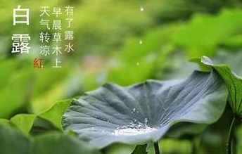 今迎白露，盛夏退場-黄瓜视频下载APP视频黄瓜视频污在线观看機