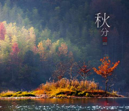 2020秋分-黄瓜视频下载APP视频黄瓜视频污在线观看機