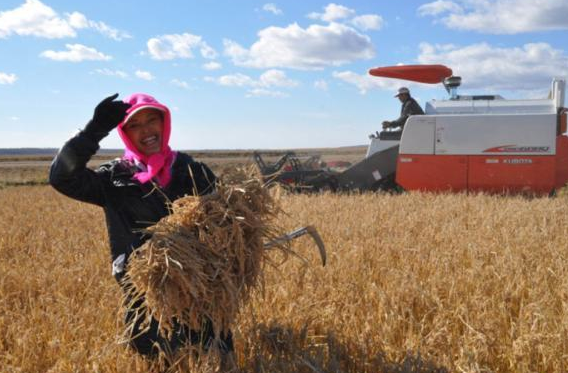 2020秋分-黄瓜视频下载APP视频黄瓜视频污在线观看機