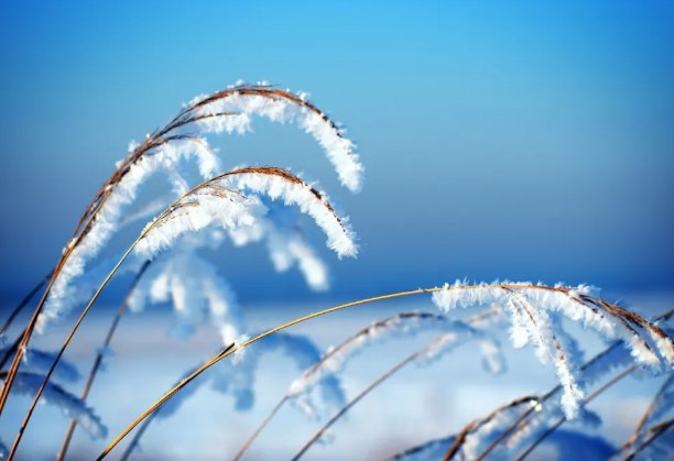 冬至悄然而至，這三招你知道嗎？-黄瓜视频下载APP视频黄瓜视频污在线观看機